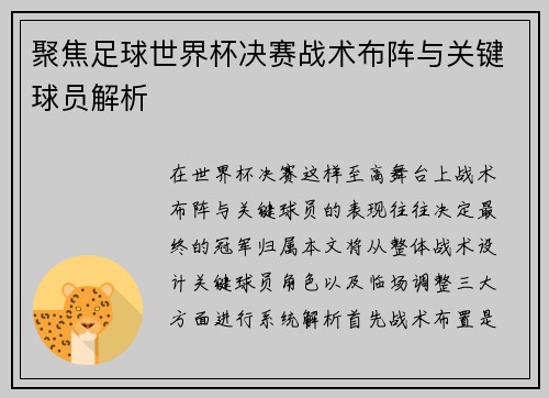 聚焦足球世界杯决赛战术布阵与关键球员解析